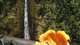 熱帯ジャングルの中を抜けて。。