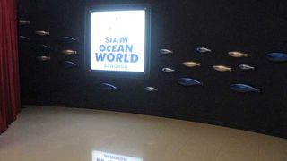サイアムオーシャンワールド　入場は高めです。