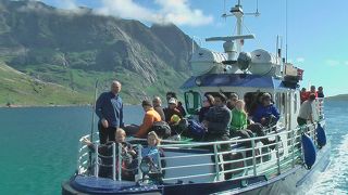 ロフォーテン諸島での一押しのエクスカーション「レイネフィヨルドクルーズ」