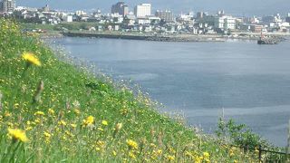 函館でははずせない景勝地