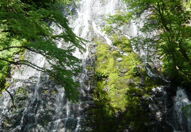 福井県では唯一の『日本の滝百選・龍双ヶ滝』は清涼感いっぱい！