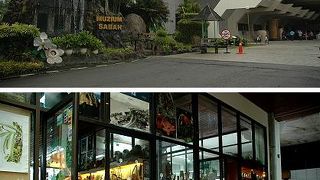 運悪く雨が降ったらサバ州立博物館へ行ってみては？