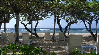 ひまわりトランスポート良かったです