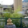 ゆったりした昭和の温泉旅館