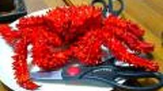 休み番屋　しおかぜ