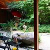 お宿玉樹さん　おもてなしの気持ちが伝わってくるあたたかいお宿