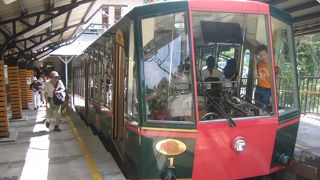 真夏に冷凍おしぼりのサービスがありました