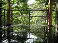松川渓谷に佇む宿　信州山田温泉　山田館 写真