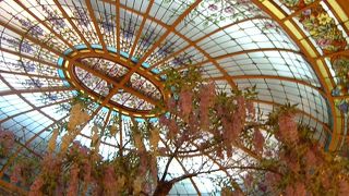 本当は秘密にしたかったのですが…