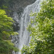 美しい分岐瀑◆日本の滝百選 『丸神の滝』（埼玉県小鹿野町）