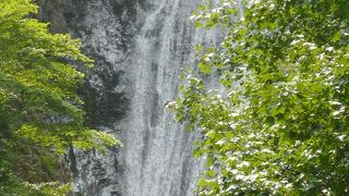 美しい分岐瀑◆日本の滝百選 『丸神の滝』（埼玉県小鹿野町）