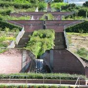 半田山植物園　～四季折々の自然を楽しむことができますよ