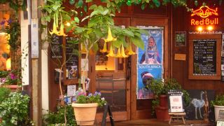 ビストロゼブラ