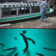 尖閣湾揚島遊園−『君の名は』の舞台・遊覧船や水族館があります