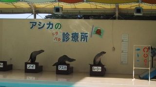 マリンピア松島水族館−アシカショーやラッコ・ペンギンの餌付けが見られます