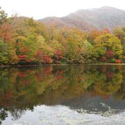 紅葉が水面に映し出される神秘的な池