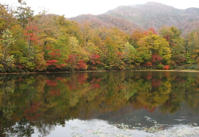 紅葉が水面に映し出される神秘的な池