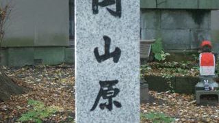 手軽に森林浴が楽しめます