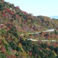 スカイラインの紅葉は朝早く、高湯側からがお勧め