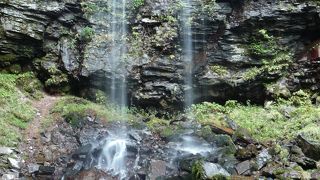 落差17ｍ・ツインの直瀑 『夫婦滝』（岐阜県郡上市）