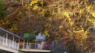 探検心がくすぐられます♪