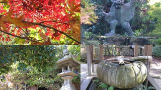 紅葉が輝くばかり!!