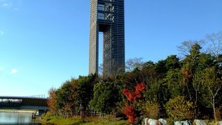 浜名湖ガーデンパークの展望台から富士山が見える！