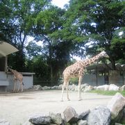 【Zoo　Negara】国立動物園