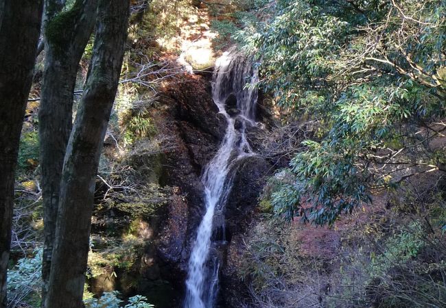 旧天城街道から見えます 『二階滝（にかいだる）』