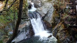 エビの形の流身 河津七滝『えび滝』
