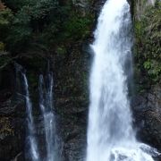 河津七滝の最下流部にある最大の 『大滝（おおだる）』