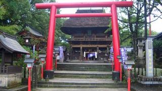 青井阿蘇神社〔神社〕