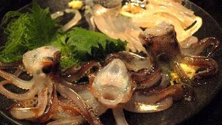 美味しいイカが食べたいならここ！「活魚料理 いか清」