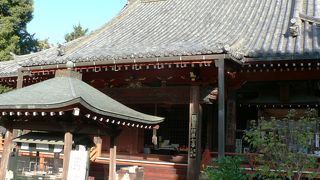 奈良、橿原神宮に近い久米寺（２００８年１１月）