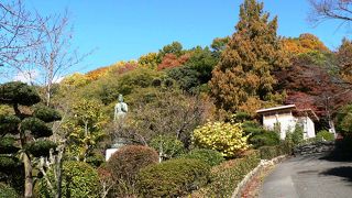 池田市の五月山公園（２００８年１１月）