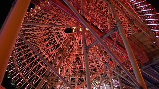 コスモクロックを下から