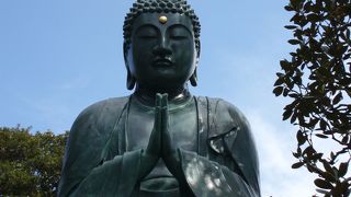 本像の由来は、日蓮宗感応寺建立で改宗前、天王寺大仏