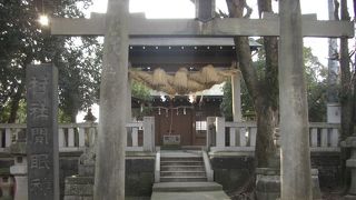 歴史に興味のある方は是非どうぞ。