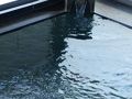 寺泊岬温泉　ホテル飛鳥 写真
