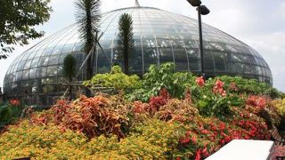 ○ 姫路市立　「手柄山　温室植物園」