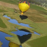 ハンターバレー上空からサンライズを～Balloon Safari Tour