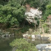 おうちだに公園。ホタルの里です。