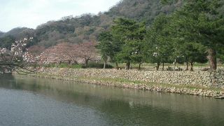 きゅうしょう公園と読んでください