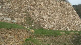 鳥取城跡は石垣が特徴的