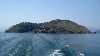 ６０年に一度の御開帳　竹生島　千手観音菩薩