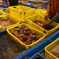香港仔の魚市場で新鮮な魚貝を見物