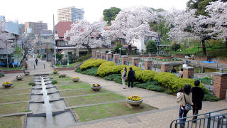 春は花見　夏はプール