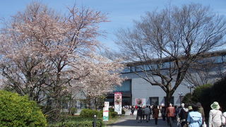 連日、午後８時までの阿修羅展、国立博物館