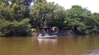 武蔵関公園で手漕ぎボート