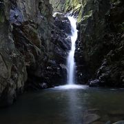 深山幽谷な雰囲気の直瀑 『龍王の滝』（京都府井手町）